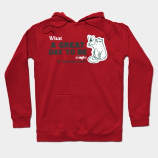 What a Great Day to be Single for my Savings Account Hoodie
